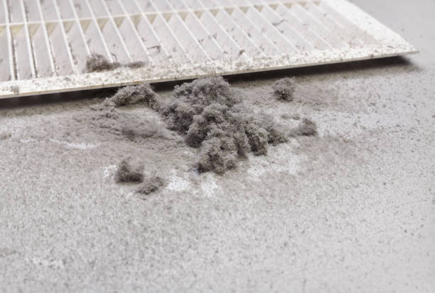 Ductwork Cleaning Services in Winfield, AL