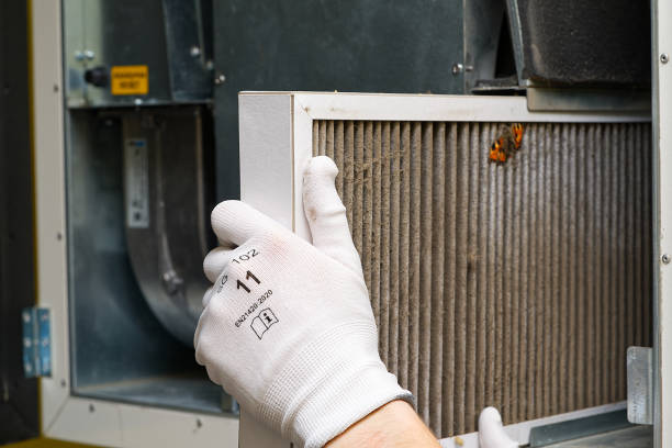 Best Best Air Duct Cleaning Company  in Winfield, AL