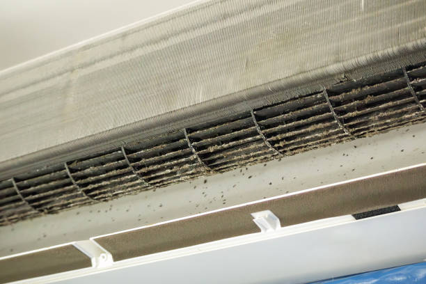 Best Air Duct Cleaning Near Me  in Winfield, AL